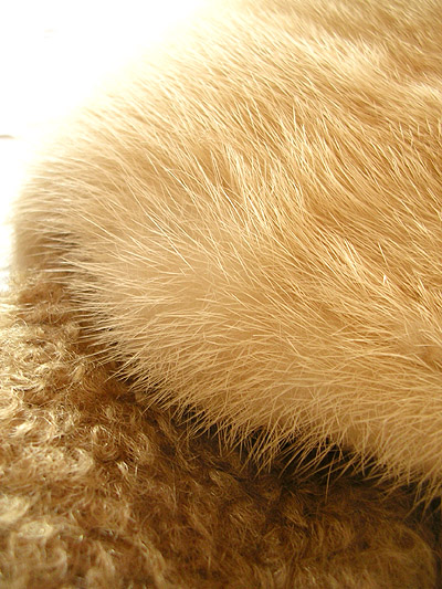 vintage 50s mink and mohair coat