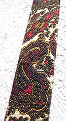 vintage 60s rooster paisley square tie